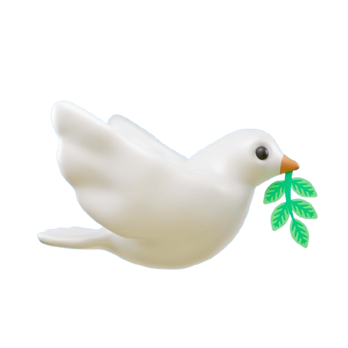 Cotizar Seguro Sepelio